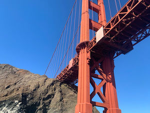 Meet your Posher, Roxanna